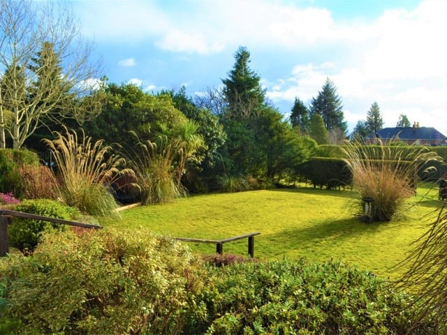 Rear garden.
