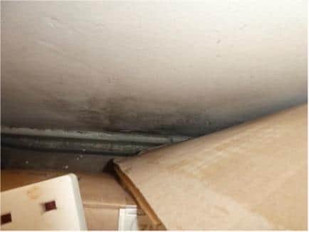Mould pictured in one room of the home, where children aged two and eight sleep