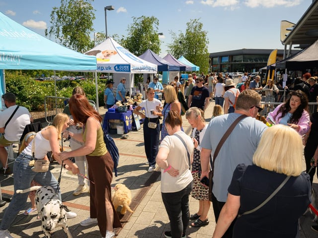 People peruse the offerings of the pop-up stalls dedicated to dogs.Picture: Keith Woodland (250521-68)