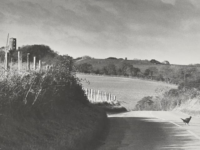 Pictured is: Racton, Chichester in 1987. Picture: (1369-1)