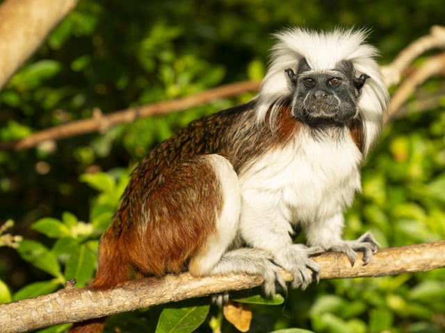 The zoo has so much to offer with a whole range of adorable animals.