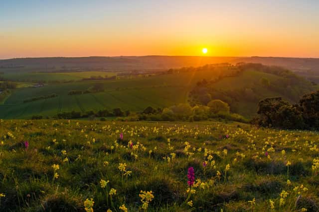 Green spaces like this in the South Downs gives Hampshire a head start against climate change. Picture: Lewis Watt