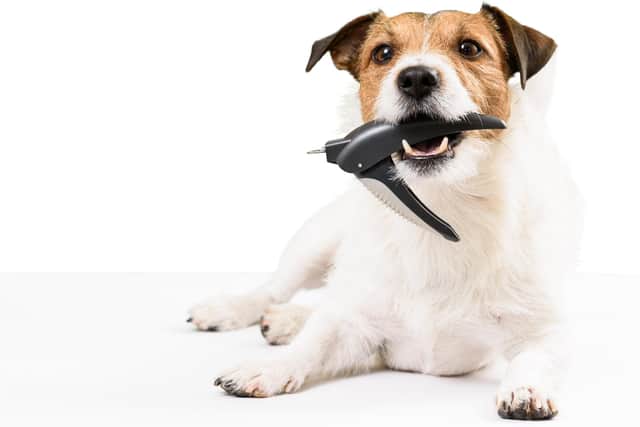 WHOA THERE MR JACKSON: I think I'll just take those clippers if you don't mind....
Picture: Shutterstock