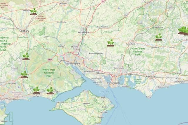 Giant hogweed hotspots in Hampshire. Picture: WhatShed