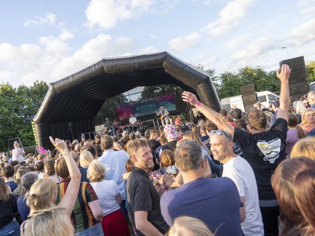 Festival goers enjoying the music at Swanfest 2024