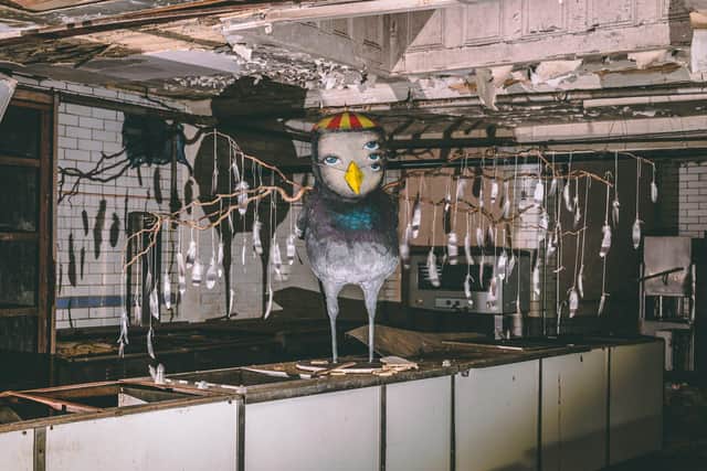 A sneak peek at Inside by My Dog Sighs. Picture by Paul Gonella/Strong Island