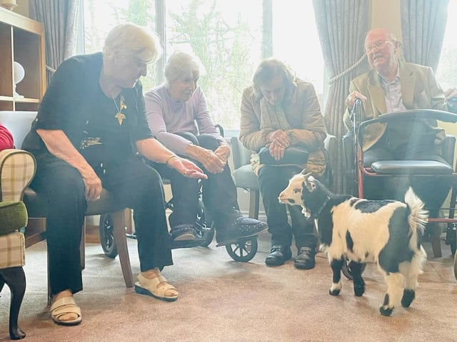 Denmead Grange care home residents had some unusual visitors as they were greeted by pygmy goats from Em’s Friendly Farm.