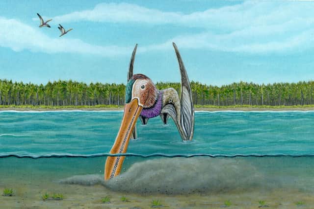 Artist impression of the pterosaur species known as Lonchodraco giganteus which evolved a sensitive beak to help find food
Megan Jacobs/University of Portsmouth