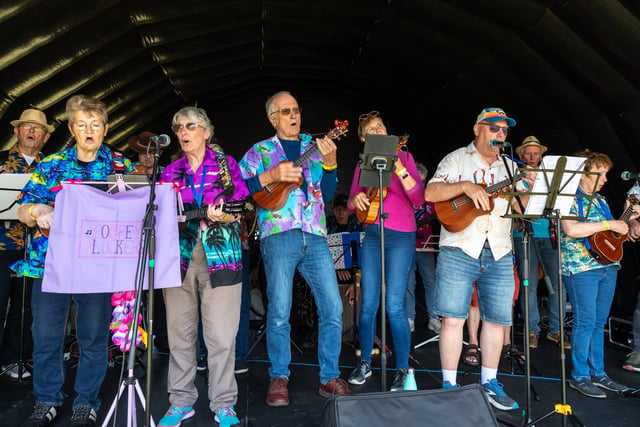 The Pompey Pluckers on stage entertaining the crowds. Picture: Mike Cooter (210522)
