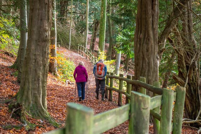 Queen Elizabeth Country Park. Picture: SDNPA
