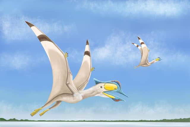 Scientists from the University of Portsmouth have discovered a fourth species of ancient flying reptile. The creature has been named Afrotapejara Zouhrii.
