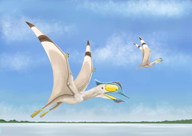 Scientists from the University of Portsmouth have discovered a fourth species of ancient flying reptile. The creature has been named Afrotapejara Zouhrii.