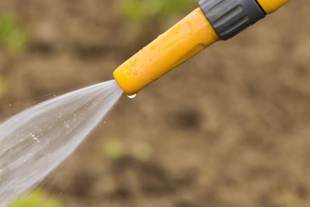 Hampshire could see a hosepipe ban if the hot weather continues