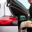 A new report has found that over 20,000 dogs have been stolen in the UK between 2014 and 2024.