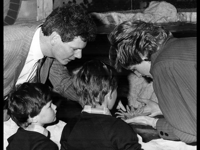 Diana's visit to the Sea Life Centre, Southsea, in April 1986. The News PP182