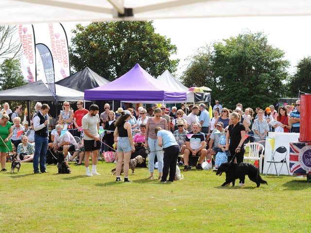 Pictured is: Fun dog show. Picture: Sarah Standing (260824-5629)