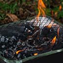 The sale of disposable barbecues has been banned by the government.
