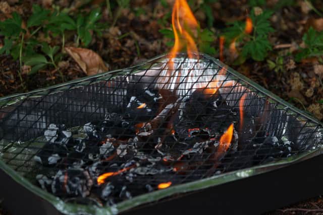 The sale of disposable barbecues has been banned by the government.