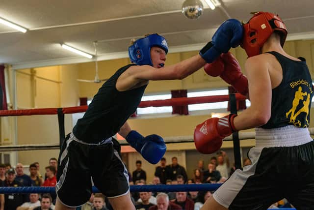 Waterloovile Boxing Club's Leo Easen, left, takes on Martin Gurasvili. Picture: Vernon Nash
