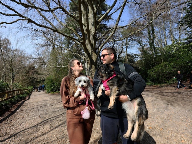 Pictured is David and Rebecca Naylor with dogs Daisy and Abba.
Picture: Sam Stephenson.
