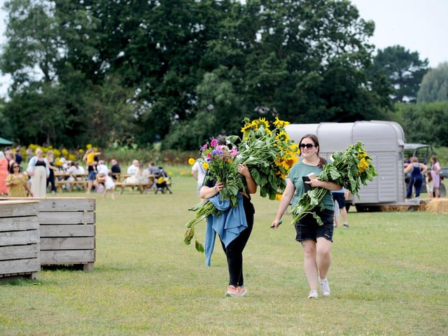 Sam's Sunflowers in Hayling Island, on Sunday, August 4, 2024.Picture: Sarah Standing (040824-3840)