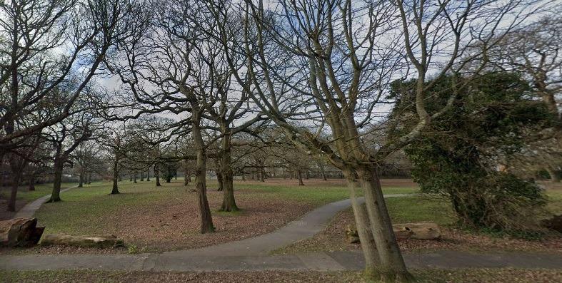 This area is a lovely place to walk your dog if you want to have a walk in the forest. This area is probably best for dogs that are kept on the lead or are well behaved when not on the lead.