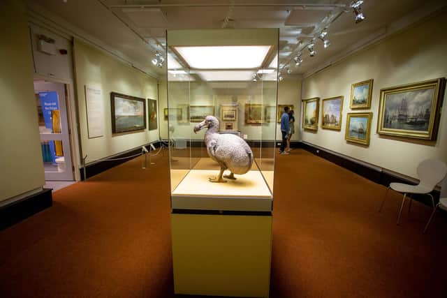 The Dodo exhibition room.
Picture: Habibur Rahman