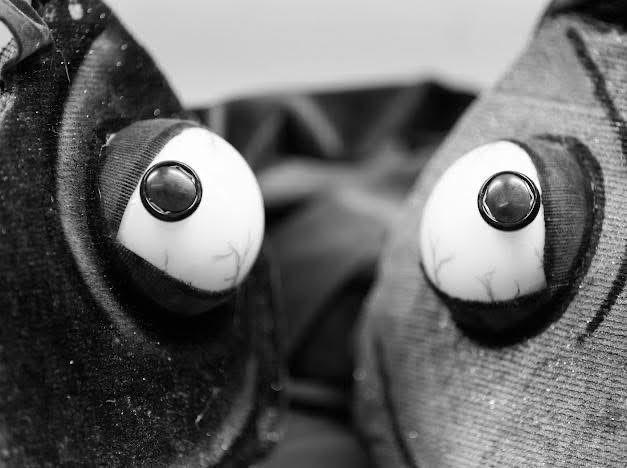 Audiences can expect an eclectic mix of singing, dancing, and spectacular puppetry.