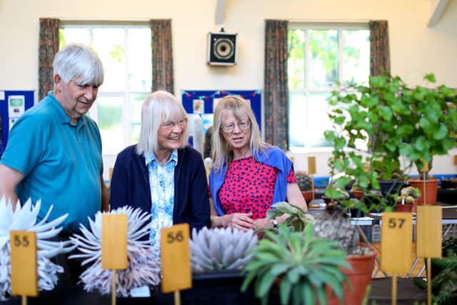 From left, Justin Gilbert, Gill Cawte and Carolyn Gilbert. Show by Portsmouth & District Branch of the British Cactus and Succulent Society, Christ Church Hall, Widley.
Picture: Chris Moorhouse (jpns 240922-06)