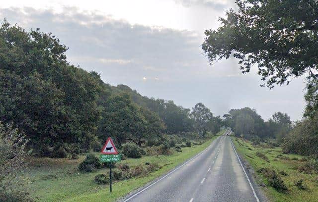 The incident happened on Roger Penny Way in the New Forest. Picture: Google Maps