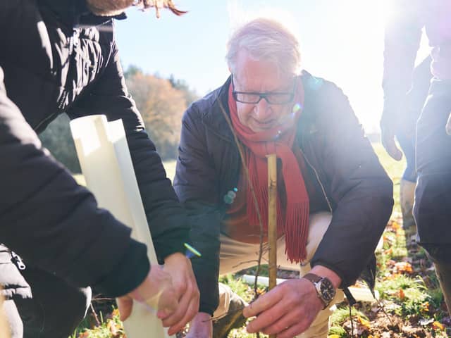 Mark Williams at tree planting event