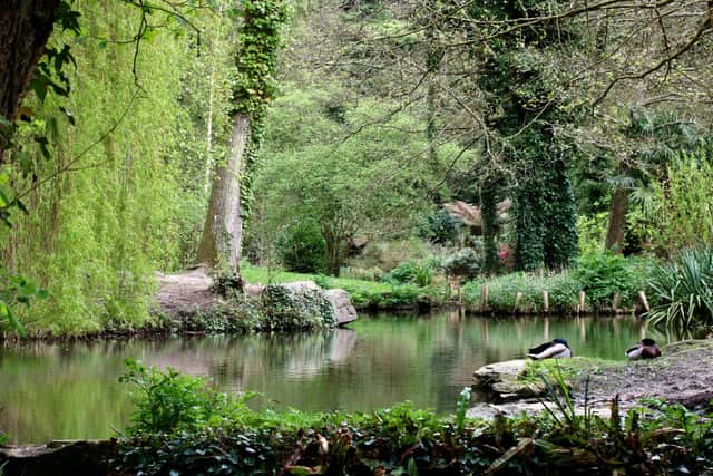 Holly Hill Woodland Park is an absolutely treasure during the autumn with the wooded paths around the lakes snaking around the site and out to the Rover Hamble. There is also a playpark nearby outside the leisure centre for those with families.  Picture: Graham May