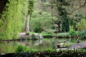 Holly Hill Woodland Park is an absolutely treasure during the autumn with the wooded paths around the lakes snaking around the site and out to the Rover Hamble. There is also a playpark nearby outside the leisure centre for those with families.  Picture: Graham May