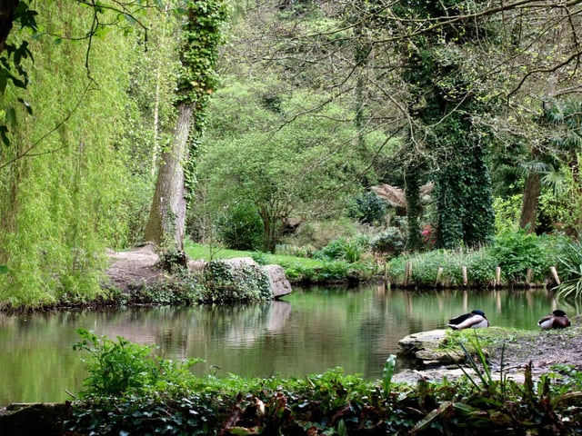 Holly Hill Woodland Park is an absolutely treasure with the wooded paths around the lakes snaking around the site and out to the Rover Hamble. There is also a playpark nearby outside the leisure centre for those with families.  Picture: Graham May