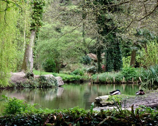 Holly Hill Woodland Park is an absolutely treasure during the autumn with the wooded paths around the lakes snaking around the site and out to the Rover Hamble. There is also a playpark nearby outside the leisure centre for those with families.  Picture: Graham May