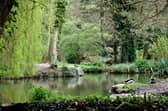 Holly Hill Woodland Park is an absolutely treasure during the autumn with the wooded paths around the lakes snaking around the site and out to the Rover Hamble. There is also a playpark nearby outside the leisure centre for those with families.  Picture: Graham May