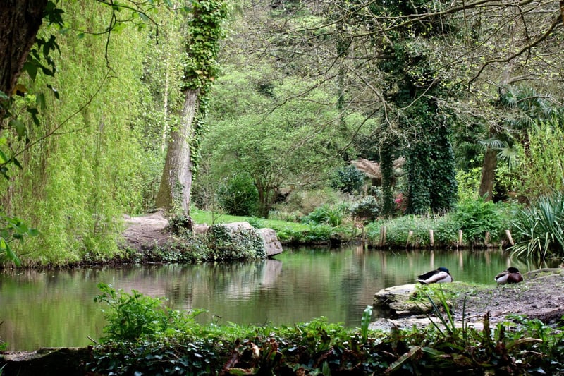 Holly Hill Woodland Park is an absolutely treasure during the autumn with the wooded paths around the lakes snaking around the site and out to the Rover Hamble. There is also a playpark nearby outside the leisure centre for those with families.
Picture: Graham May
