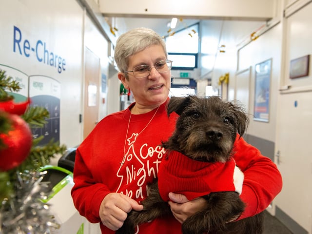 Hovertravel's Jolly Jumper Day