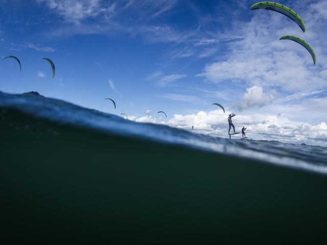 Competitors race 
(Photo by Ryan Pierse/Getty Images)