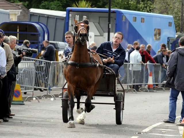 A horse is put through its paces at the Wickham Horse Fair. PICTURE:STEVE REID