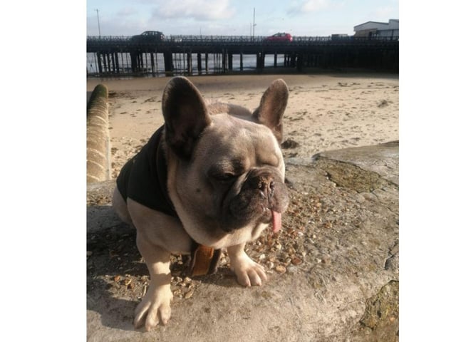 How lovely is this picture of George shared by Sandi Logan.