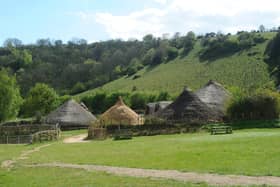 Butser Ancient Farm in Chalton are celebrating their 50th anniversary.

Picture: Sarah Standing (260422-2621)