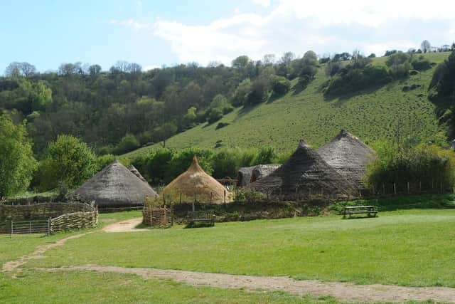 Butser Ancient Farm in Chalton are celebrating their 50th anniversary.
Picture: Sarah Standing (260422-2621)