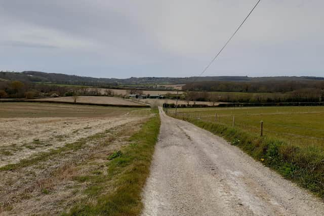 Little Duxmore farm in Wootton, Isle of Wight, has been bought by the Hampshire & Isle of Wight Wildlife Trust so it can be rewilded and help reduce nitrates leaking into the Solent, paving the way for house building to resume. 

Picture: Hampshire & Isle of Wight Wildlife Trust