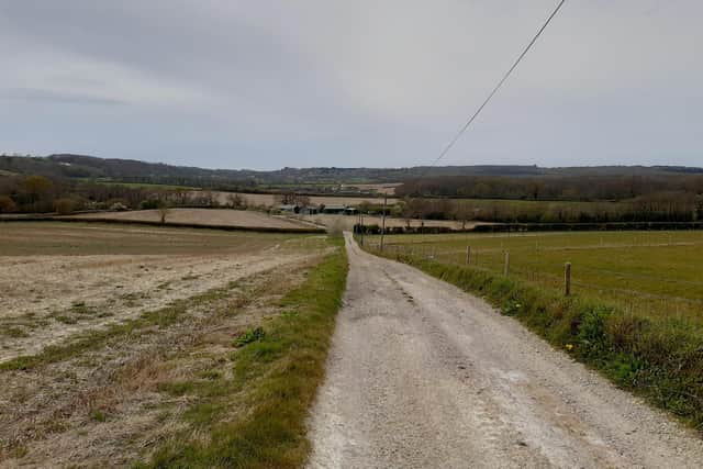 Little Duxmore farm in Wootton, Isle of Wight, has been bought by the Hampshire & Isle of Wight Wildlife Trust so it can be rewilded and help reduce nitrates leaking into the Solent, paving the way for house building to resume.
Picture: Hampshire & Isle of Wight Wildlife Trust