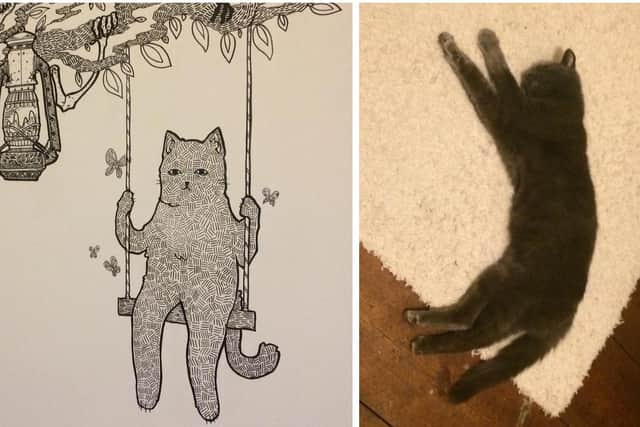Vik Demjanova, 18 from Southsea, has been creating intricate murals on blank walls. Pictured: John Kelly's cat Bertie, who Vik befriended during her time at John's house, and the characterisation of him she added to the mural