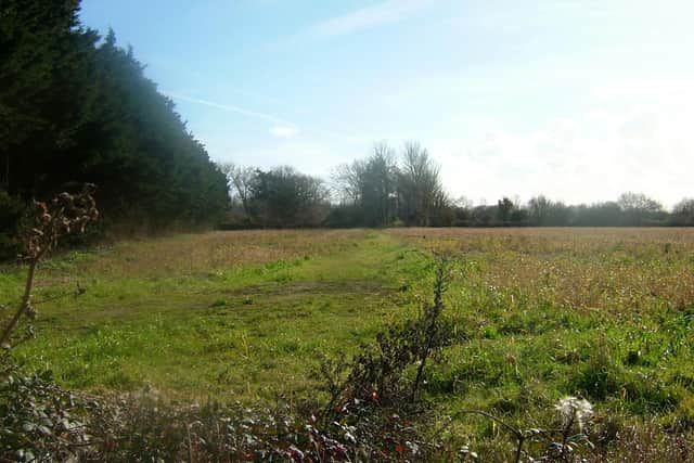 The remains of the ancient byway Narrow Marsh Lane which ran from Lower Road, Bedhampton, to the foreshore. Picture: Ron Tate