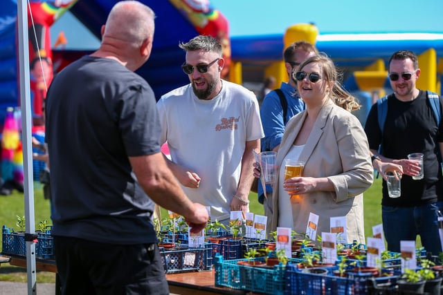 Ben and Kirsty Pilcher buy chilli plants from the Portsmouth Chilli and Gin Festival.