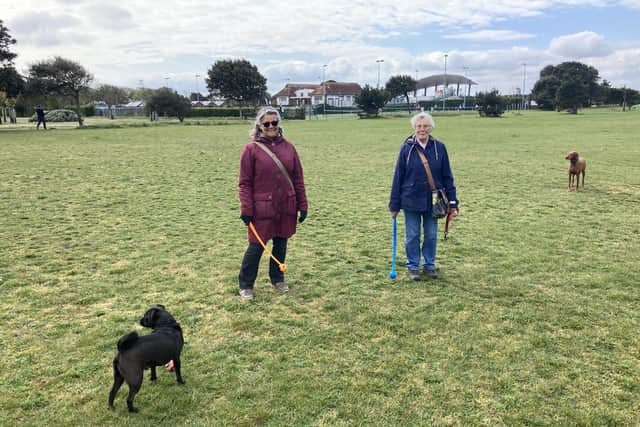 Eileen Bray (left) and Rosemary Edwards on Southsea Common