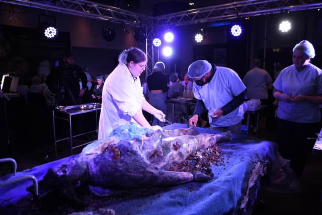 The event where people get to dissect a dead body is coming to The Village Hotel in Portsmouth this month.